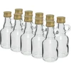 Láhev Galonik 40ml se šroubovacím uzávěrem - 10ks - 4 