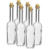 Láhev na likér 100 ml 6 ks + 6 korků - 6 