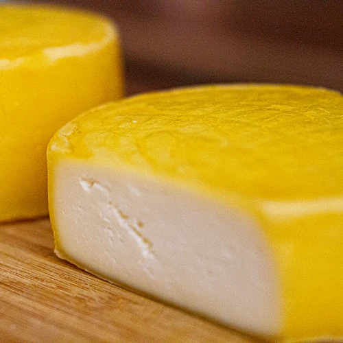 Bakteriální kultury pro sýr gouda - 5