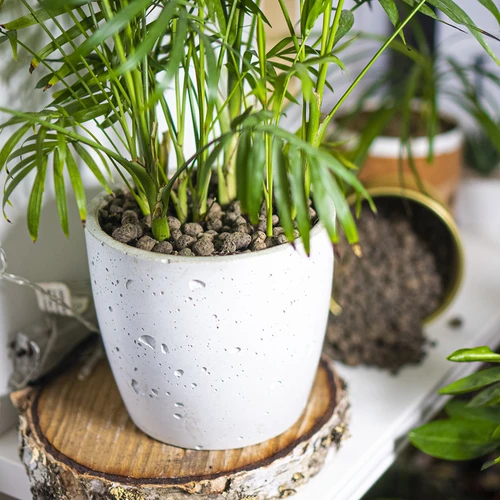 Keramzit pro pokojové rostliny, zahradnictví a lesy ve skle, 4-10 mm, 2L - 9