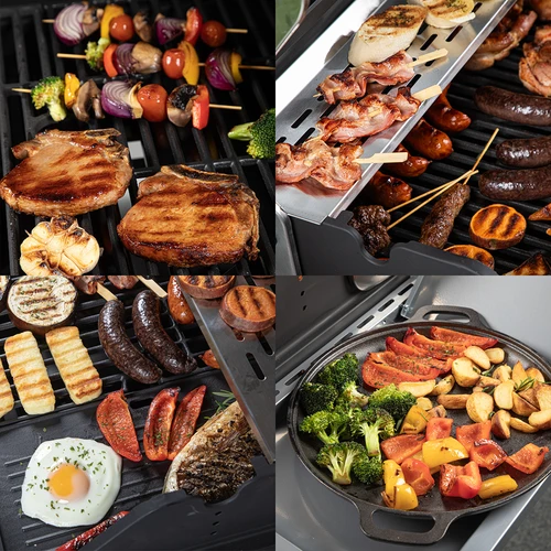 Plynový gril dragON BBQ101, 11,7 kW, černo-stříbrný - 11