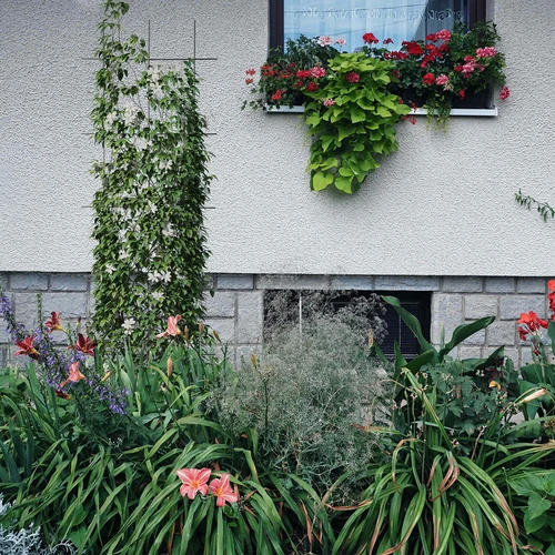 Podpora pro rostliny - mříž (150cm x 45cm) 3 kusy - 4