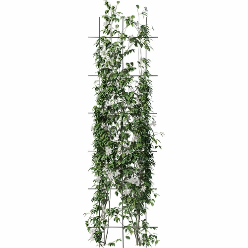 Podpora pro rostliny - zahradní mřížka 150 x 45cm - 3