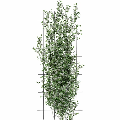 Podpora pro rostliny – zahradní mřížka 150 x 60cm - 3