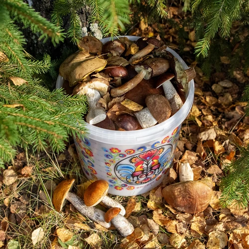 Potravinářský kbelík GWIOZDA - s víkem, 10 L - 10