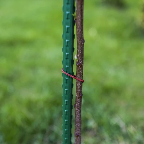 Zahradní tyčky Bioogród – potažené ocelové, 0,75 m, fi 8 mm, 10 ks - 6