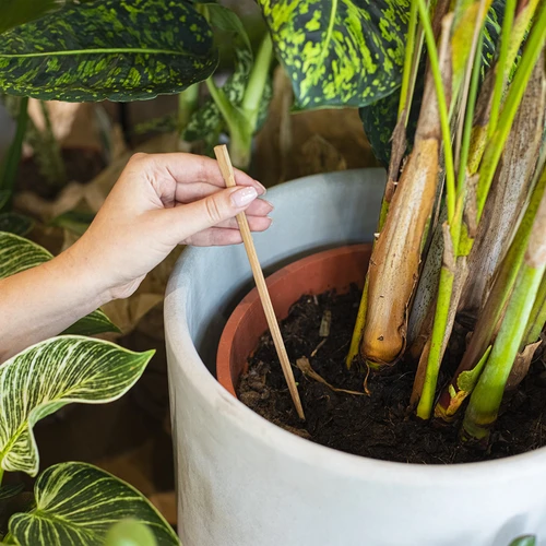 Zavlažovací koule, průhledné, 400 ml, 4 ks - 7