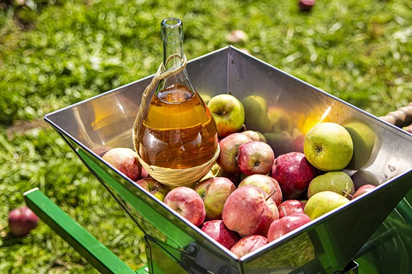 Domácí cider