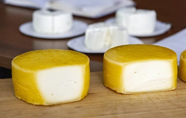 Domácí sýr typu Gouda