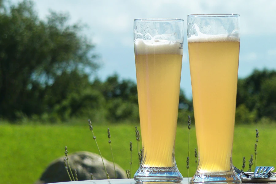 Browin Przepiśnik - Pšeničné pivo „Bílé”