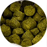 Pivovarnictví